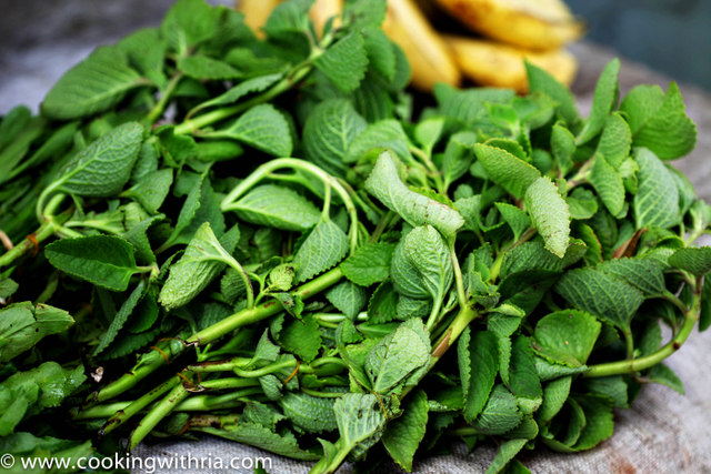 https://cookingwithria.com/wp-content/uploads/2013/03/Trinidad-Green-Seasoning-pudina.jpg