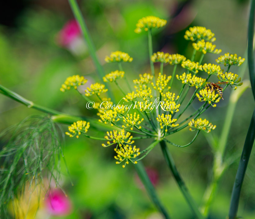 Sunday Lunch Week 36