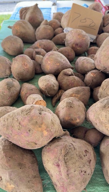 Sweet Potato Ground Provisions - Trinidad Market