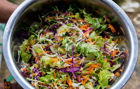 Trinidad Salad – How I Make it at Home