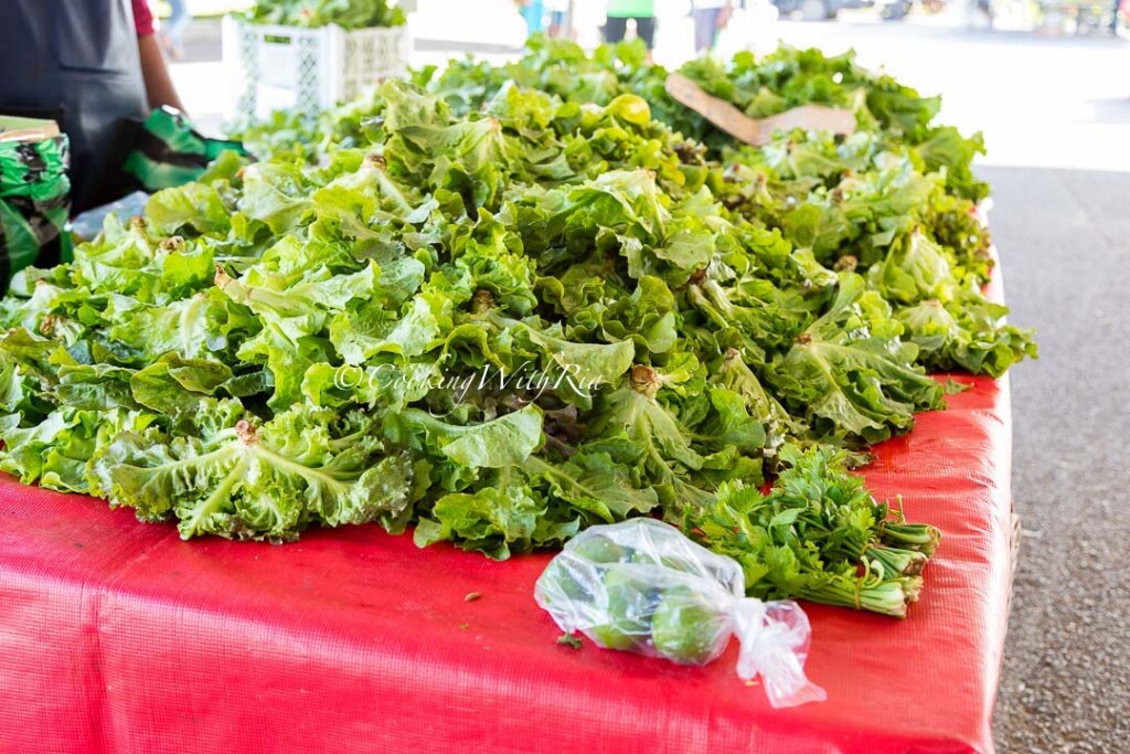trinidad salad - lettuce